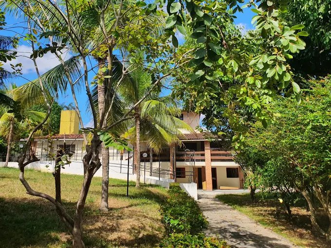 Fachada do Novo Lar com jardim e palmeiras — Recife, PE