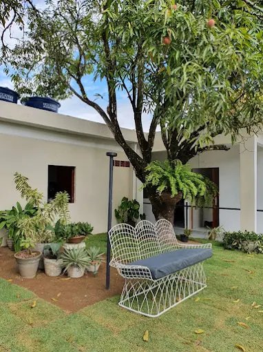 Jardim com banco e vegetação exuberante